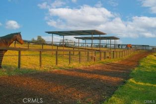 Single Family Residence, 1977 San Marcos Pass rd, Santa Ynez, CA 93460 - 39