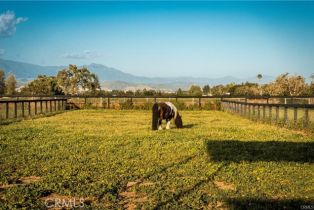 Single Family Residence, 1977 San Marcos Pass rd, Santa Ynez, CA 93460 - 42