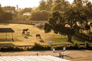 Single Family Residence, 1977 San Marcos Pass rd, Santa Ynez, CA 93460 - 43