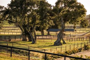 Single Family Residence, 1977 San Marcos Pass rd, Santa Ynez, CA 93460 - 45