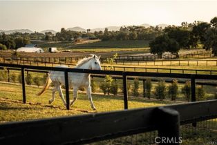 Single Family Residence, 1977 San Marcos Pass rd, Santa Ynez, CA 93460 - 46