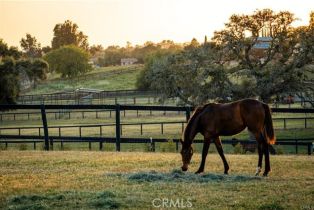 Single Family Residence, 1977  W San Marcos Pass RD, Santa Ynez, CA  Santa Ynez, CA 93460