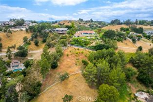 Single Family Residence, 24810 JACOB HAMBLIN rd, Hidden Hills , CA 91302 - 50