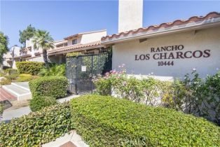 Condominium, 10444 Canoga AVE, Chatsworth, CA  Chatsworth, CA 91311