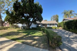 Residential Lease, 22607 Collins ST, Woodland Hills, CA  Woodland Hills, CA 91367