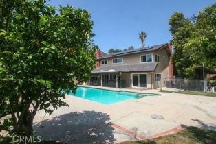 Single Family Residence, 4310 Tamoshanter ln, Tarzana, CA 91356 - 10