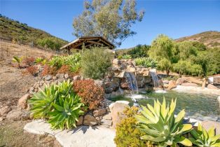 Single Family Residence, 42305 Via Nortada, Temecula, CA 92590 - 47