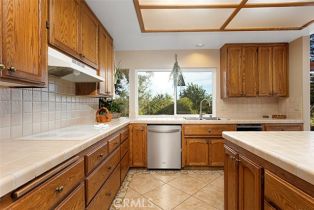 Single Family Residence, 579 Pheasant Valley ct, Fallbrook, CA 92028 - 19