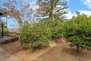 Single Family Residence, 579 Pheasant Valley ct, Fallbrook, CA 92028 - 33