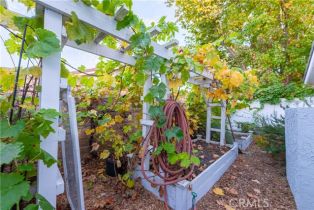 Single Family Residence, 541 Walter ave, Newbury Park, CA 91320 - 58