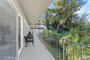 Single Family Residence, 317 Redwood dr, Pasadena, CA 91105 - 27