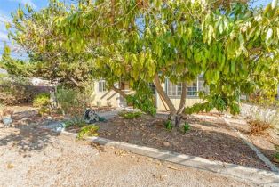 Single Family Residence, 254 Loma dr, Camarillo, CA 93010 - 14