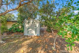 Single Family Residence, 254 Loma dr, Camarillo, CA 93010 - 65