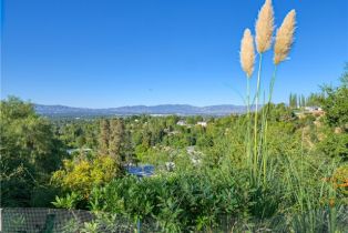 Single Family Residence, 17237 Luverne pl, Encino, CA 91316 - 20