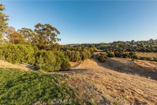 Single Family Residence, 24930 ELDORADO MEADOW rd, Hidden Hills , CA 91302 - 35