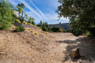 , 137 Buckskin rd, Bell Canyon, CA 91307 - 10