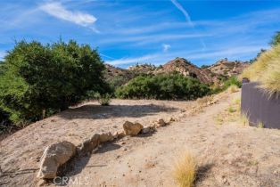 , 137 Buckskin rd, Bell Canyon, CA 91307 - 12