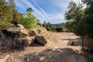 , 137 Buckskin rd, Bell Canyon, CA 91307 - 9