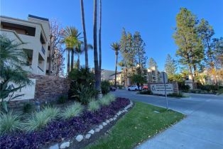 Condominium, 5515 Canoga ave, Woodland Hills, CA 91367 - 3