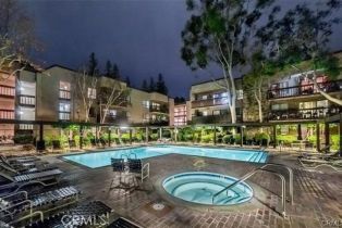 Residential Lease, 22100 Burbank BLVD, Woodland Hills, CA  Woodland Hills, CA 91367