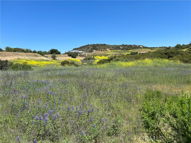 , 24201 Mulholland hwy, Calabasas, CA 91302 - 1