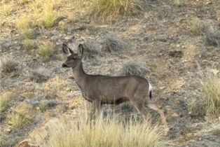 Single Family Residence, 68 Ranchero rd, Bell Canyon, CA 91307 - 33