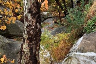 Single Family Residence, 68 Ranchero rd, Bell Canyon, CA 91307 - 35