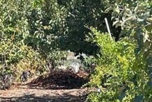 , 12493 PRESILLA rd, Camarillo, CA 93012 - 23