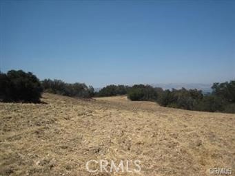 , 22800 Mulholland, Calabasas, CA 91302 - 1