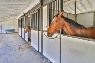 Single Family Residence, 153 Bell Canyon rd, Bell Canyon, CA 91307 - 53