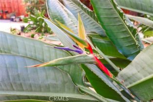 Single Family Residence, 2025 Buena Vista st, Burbank, CA 91504 - 33