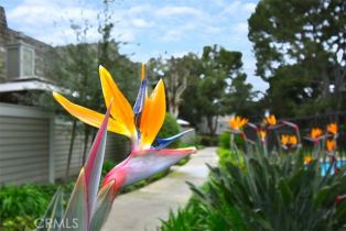 Townhouse, 13107 Mindanao way, Marina Del Rey, CA 90292 - 45