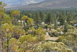 , 2 Goldshot Creek rd, Mountain Center, CA 92561 - 11