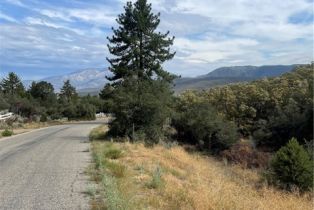 , 2 Goldshot Creek rd, Mountain Center, CA 92561 - 4