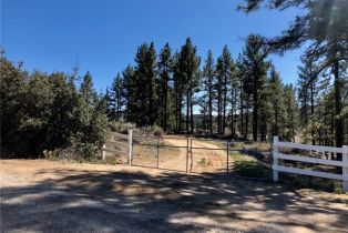 , 0 Butterfly Peak rd, Mountain Center, CA 92561 - 20