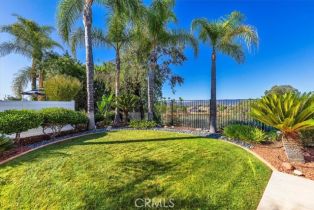 Single Family Residence, 40175 Tinderbox way, Murrieta, CA 92562 - 35