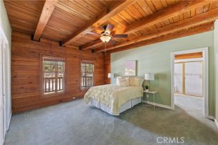 Single Family Residence, 36100 Butterfly Peak rd, Mountain Center, CA 92561 - 26