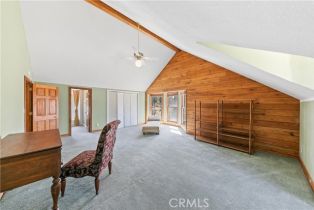 Single Family Residence, 36100 Butterfly Peak rd, Mountain Center, CA 92561 - 28