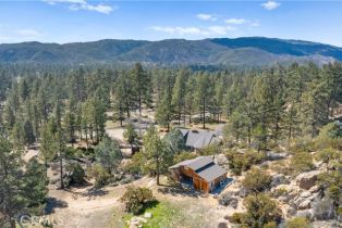 Single Family Residence, 36100 Butterfly Peak rd, Mountain Center, CA 92561 - 39