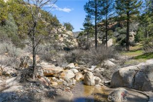 Single Family Residence, 36100 Butterfly Peak rd, Mountain Center, CA 92561 - 43