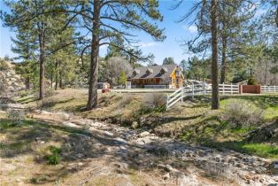 Single Family Residence, 36100 Butterfly Peak rd, Mountain Center, CA 92561 - 63