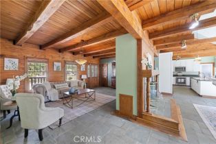 Single Family Residence, 36100 Butterfly Peak rd, Mountain Center, CA 92561 - 8