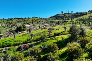 Single Family Residence, 10833 San Gabriel way, Valley Center, CA 92082 - 23