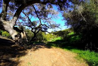 Single Family Residence, 10833 San Gabriel way, Valley Center, CA 92082 - 28