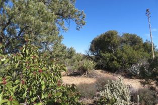 , 155 Lot #155 Buckthorn, Mountain Center, CA 92561 - 10