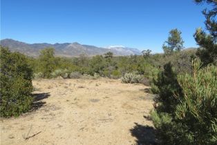 , 155 Lot #155 Buckthorn, Mountain Center, CA 92561 - 12