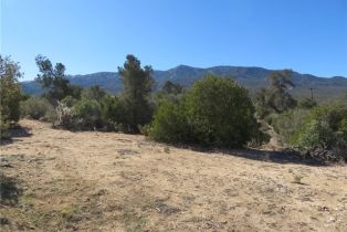 , 155 Lot #155 Buckthorn, Mountain Center, CA 92561 - 14