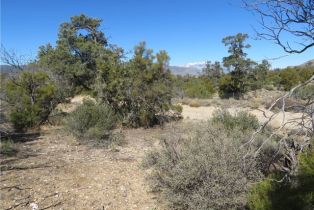 , 155 Lot #155 Buckthorn, Mountain Center, CA 92561 - 15