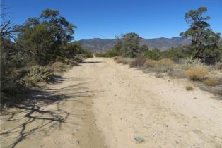 , 155 Lot #155 Buckthorn, Mountain Center, CA 92561 - 16