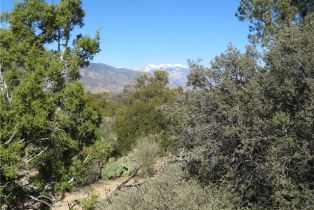 , 155 Lot #155 Buckthorn, Mountain Center, CA 92561 - 2